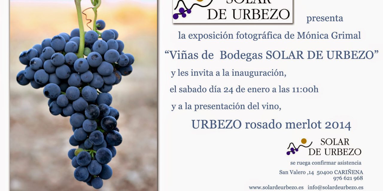 Presentación de vino y exposición (sábado, 24)