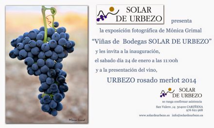 Presentación de vino y exposición (sábado, 24)