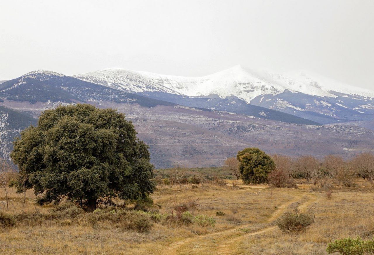 Excursión a la trufa con Urola (domingo, 22 de febrero)