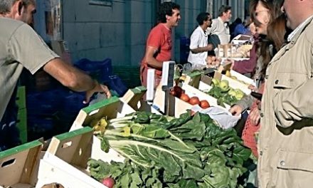 Mercado agroecológico (sábados de 2015)