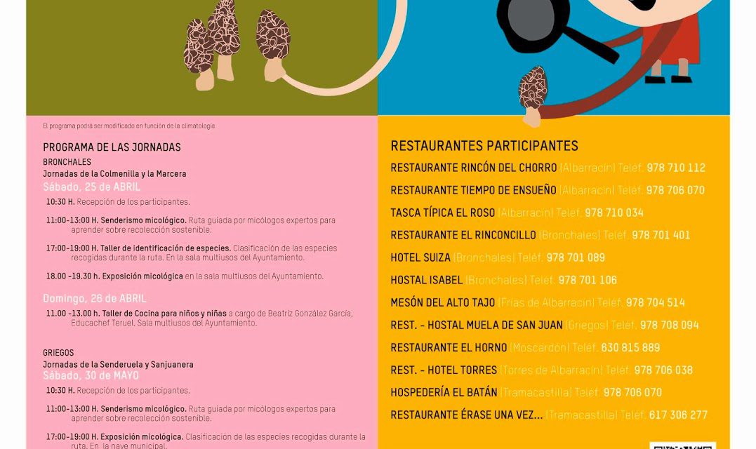 Jornadas micológicas de la Sierra de Albarracín (del 1 al 3 y los días 30-31 de mayo)