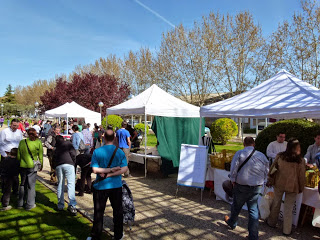 HUESCA. Mercado agroecológico (jueves, 4)