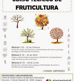 Curso técnico de fruticultura (módulo III)