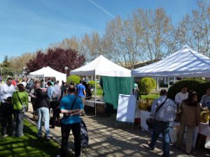 Huesca mercado agroecológico