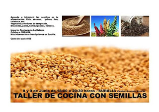 Taller de cocina con semillas (días 8 y 9)