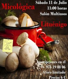 LITUÉNIGO. II Taller de cocina micológica (sábado, 11)