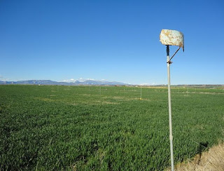 Politicas agrarias y de desarrollo rural. TTIP (jueves, 30)