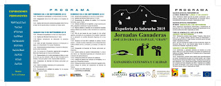 Expoferia de Sobrarbe (del 4 al 6 de septiembre)