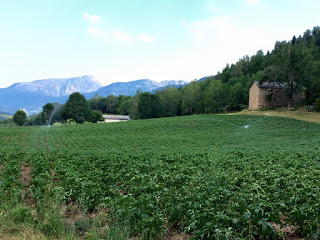 CHIA. Ruta de la patata (miércoles y sábados de agosto)