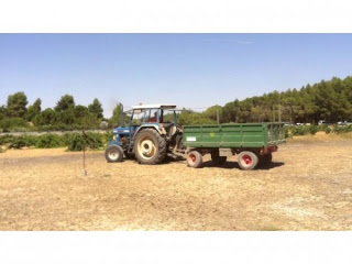 CALATAYUD. Concurso de destreza con tractor remolque (miércoles, 9)