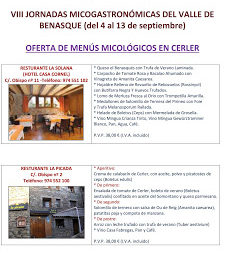 CERLER / VILLANOVA / BENASQUE. Jornadas Micológicas (hasta el domingo, 13)