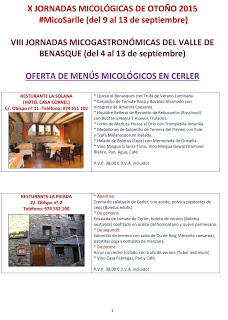 CERLER / VILLANOVA / BENASQUE. Jornadas Micológicas (hasta el domingo, 13)