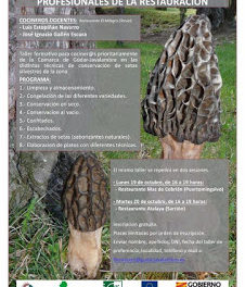 PUERTOMINGALVO / SARRIÓN. Taller de conservación de setas para profesionales (días 19 y 20)