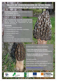 PUERTOMINGALVO / SARRIÓN. Taller de conservación de setas para profesionales (días 19 y 20)