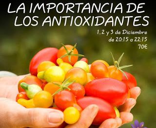 Curso de cocina La importancia de los antioxidantes en AZAFRÁN (de martes a jueves, del 1 al 3 de diciembre)