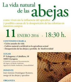 Charla sobre las abejas (lunes, 11)