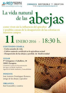 Charla sobre las abejas (lunes, 11)