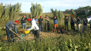 Curso Aprender a cultivar tu propia huerta (jueves, 31 de marzo; 7 de abril y 26 de mayo)