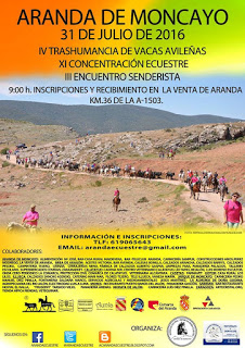 ARANDA DE MONCAYO. Fiesta de la trashumancia (domingo, 31)