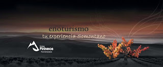 BARBASTRO. Enoturismo y maridaje de vino con productos del Somontano (fines de semana de agosto)