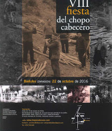 BADULES. VIII Fiesta del Chopo Cabecero (sábado, 22)