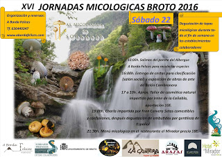 BROTO. XVI Jornadas Micológicas 2016 (sábado, 22)