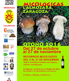 Jornadas micológicas L´Almozara (del 27 de octubre al 27 de noviembre)