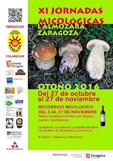 Jornadas micológicas L´Almozara (del 27 de octubre al 27 de noviembre)