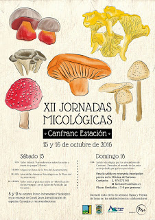 CANFRANC. Jornadas micológicas (días 15 y 16)