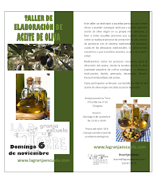 Taller de elaboración de aceite de oliva (domingo, 6)