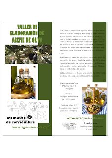 Taller de elaboración de aceite de oliva (domingo, 6)