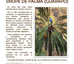 Presentación del guarapo ecológico de La Gomera (viernes, 18)