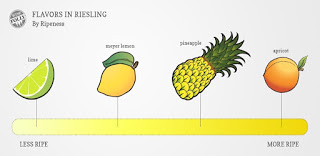 Cata de vinos de Rieslings (Alemania) en TOME VINOS (jueves, 16)