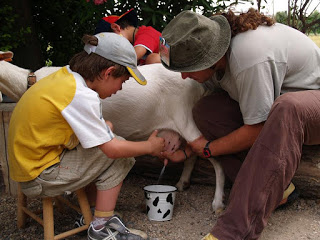 A la granja en familia (sábado, 25)