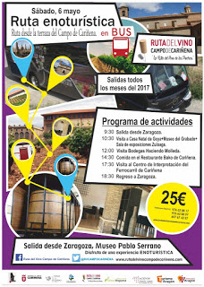 Excursión Ruta del Vino Campo de Cariñena (sábado, 6)