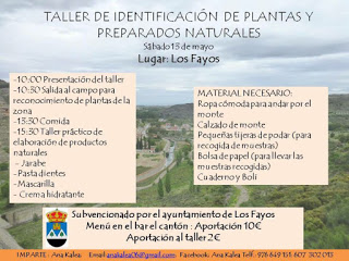 LOS FAYOS. Taller de identificación de plantas y preparados naturales (sábado, 13)