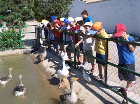 A la granja en familia (sábado, 20)