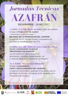 BENABARRE. Jornadas Técnicas sobre el azafrán (jueves, 1, y fin de semana)