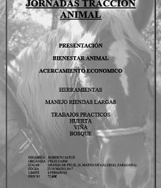 SAN MATEO DE GÁLLEGO. Jornadas de tracción animal (27 y 28)