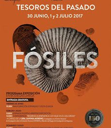 CALATAYUD. Exposición de fósiles “Tesoros del pasado” (del 30 al 2)