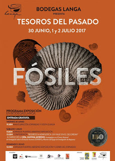 CALATAYUD. Exposición de fósiles “Tesoros del pasado” (del 30 al 2)