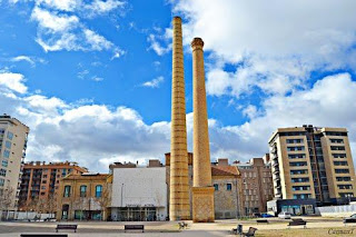 Plantación de un huerto energético (del 10 al 13)