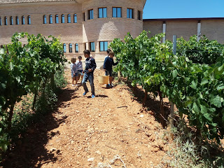 CARIÑENA. IV Jornada Family & Wine en Bodegas Care (domingo, 3)