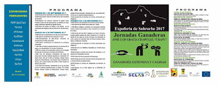 AÍNSA. XXXII Expo-feria de Sobrarbe (del 1 al 3)