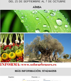 AÍNSA. Curso de agricultura ecológica (del 25 al 7)