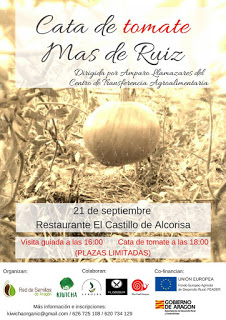 ALCORISA. Cata  tomate Mas de Ruiz (jueves, 21)
