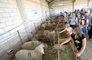 CEDRILLAS. Feria de Ganados y Maquinaria Agrícola (del 29 al 1)