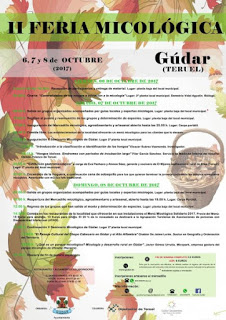 GÚDAR. II Feria micológica (del 6 al 8)