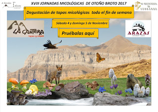 BROTO. Jornadas Micológicas de Otoño (sábado, 4)