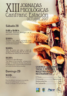 CANFRANC ESTACIÓN. Jornadas micológicas (días 28 y 29)